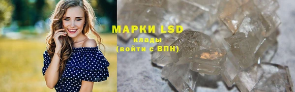 шишки Новодвинск