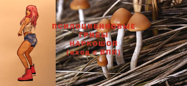 прущий лед Надым