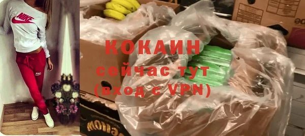 шишки Новодвинск