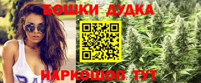 гидра Бузулук