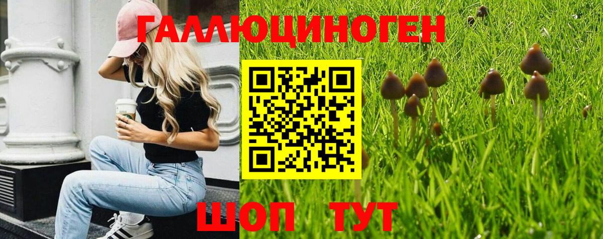 Псилоцибиновые грибы прущие грибы Шадринск